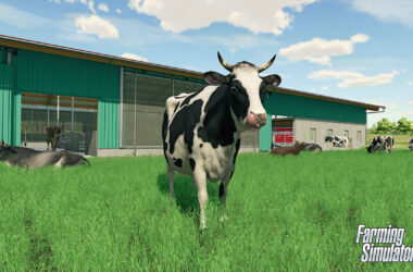 Görsel 7: Farming Simulator 22 Sistem Gereksinimleri - Sistem Gereksinimleri - Pilli Oyun